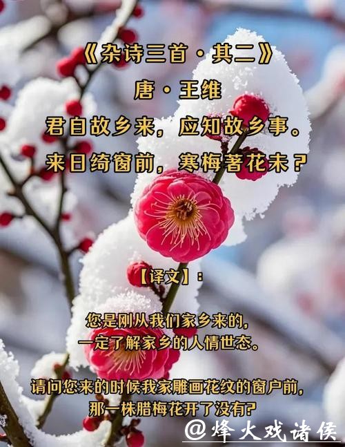 又闻蜡梅香，它点亮春天，却从不张扬