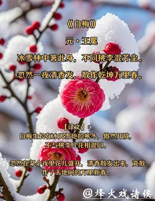 又闻蜡梅香，它点亮春天，却从不张扬